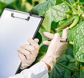 Qualità | Ricci Distribuzione Alimentare